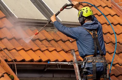 Démoussage et hydrofuge de toiture à Aigondigné
